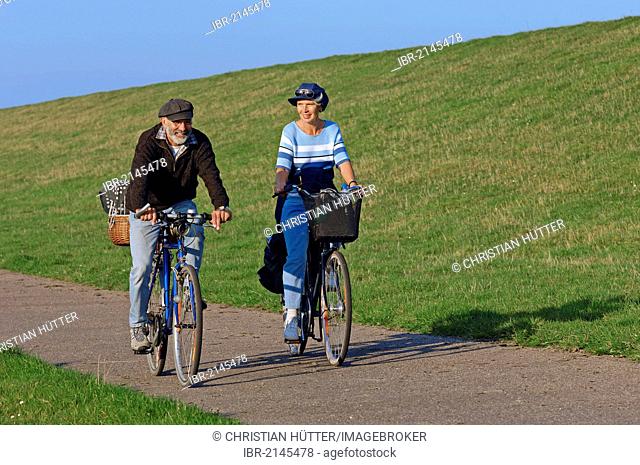 Cyclists on a bike path, East Frisia, Lower Saxony, Germany, Europe
