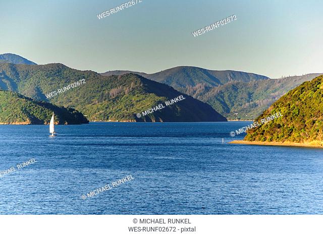 Sailing boat in the fjords around Picton, South Island, New Zealand