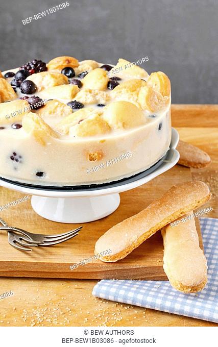 Blueberry cheesecake with ladyfinger biscuits. Party dessert
