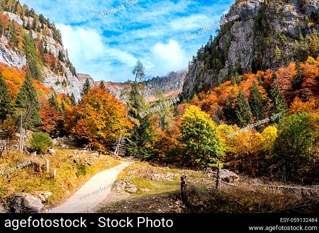 Autumn landscape. Mountains, autumn forest and dirt road