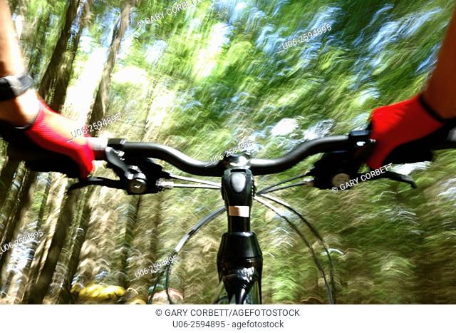 The view ahead on a mountain bike showing arms and handlebars