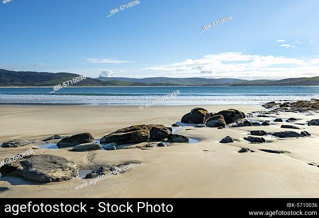 Stones on sandy beach, beach, Porpoise Bay, Catlins, Southland, South Island, New Zealand, Oceania