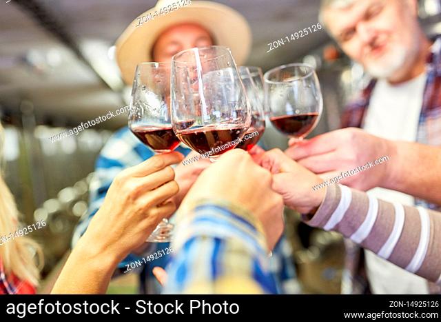 Winzer Team beim Anstoßen mit Rotwein feiert oder macht eine Weinprobe