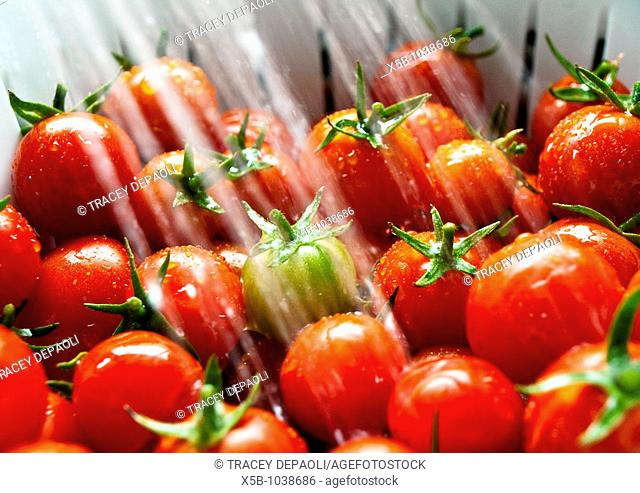 Ripe red cherry tomatoes in white colander  Steam of water washing them  close up  soft, blurred water stream, eye view, horizontal