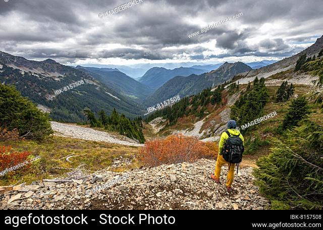 Hikers on a hiking trail, view into the valley of Butter Creek, autumnal mountain landscape, Mount Rainier National Park, Washington, USA, North America