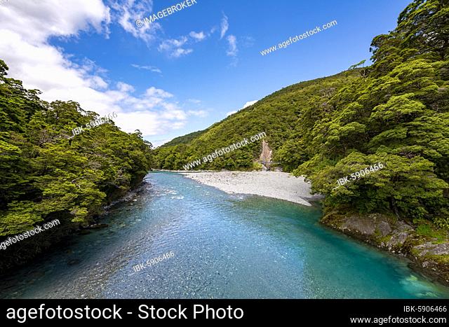 River, Makarora River, Blue Pools, turquoise crystal clear water, Haast Pass, West Coast, South Island, New Zealand, Oceania