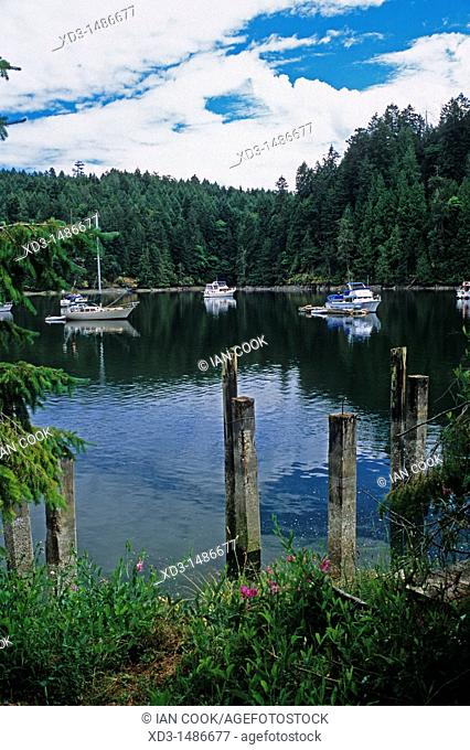 boats anchored in Tod Inlet, off Saanich Inlet, Vancouver Island, British Columbia, Canada