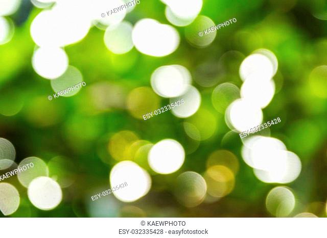 Abstract bokeh and blurred colorful nature background model is used to enter text