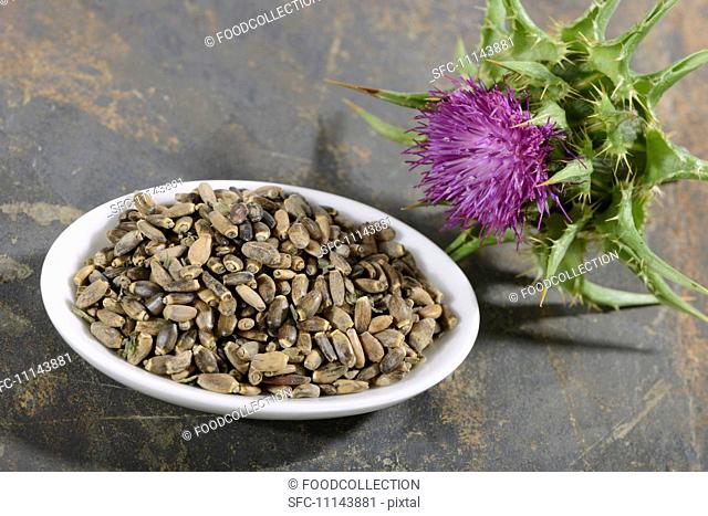 Milk thistle a flower and seeds