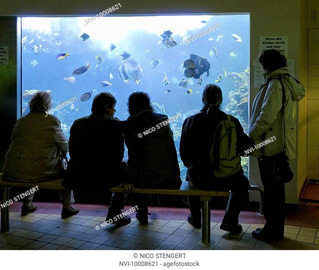 Visitors at the aquarium of Erfurt Zoopark, Erfurt, Thuringia, Germany, Europe