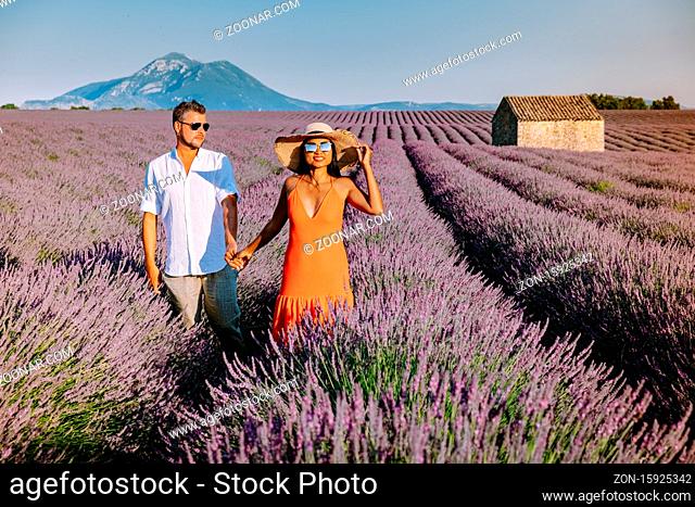 Provence, Lavender field France, Valensole Plateau, colorful field of Lavender Valensole Plateau, Provence, Southern France. Lavender field. Europe