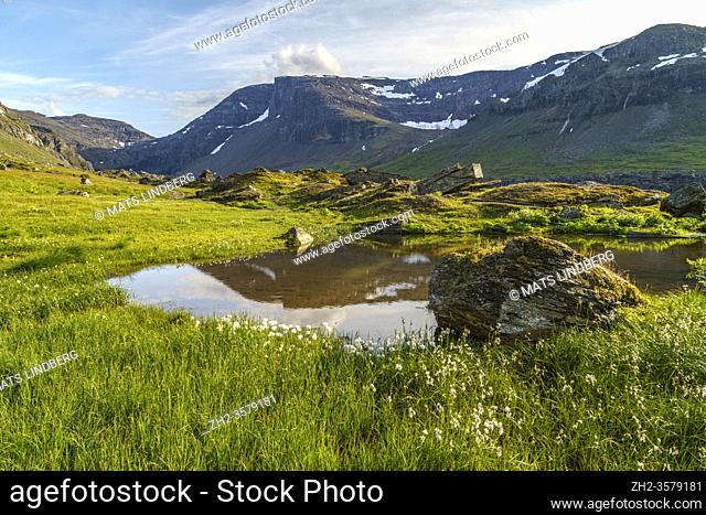 Hiking trail at Kärkevagge, Swedish Lapland with big rocks and cotton grass in foreground and mountains in background and cloudy weather, Kiruna county