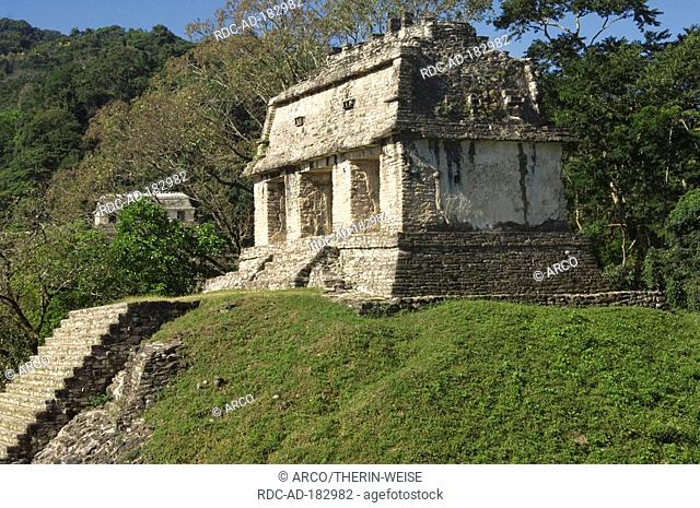 Temple of the Count, North Group, Palenque, Chiapas, Mexico, Templo del Conde