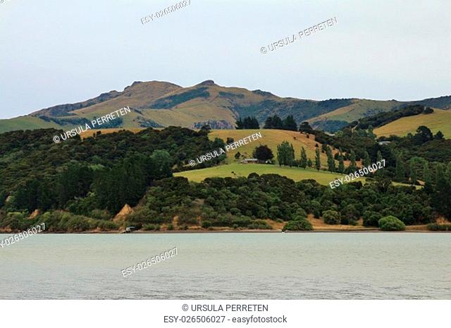 View from Barrys Bay. Landscape on the Banks Peninsula, New Zealand