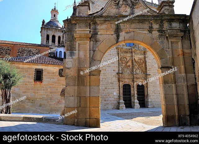 Door of the cathedral of Coria. Cáceres province. Extremadura. Spain
