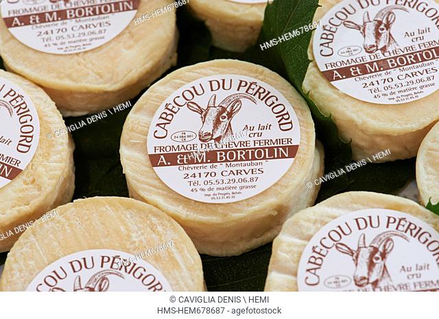 France, Dordogne, Perigord Noir, Belves, labelled Les Plus Beaux Villages de France The Most Beautiful Villages of France, Chevrerie de Montauban, goat cheese