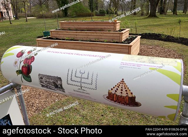 14 April 2022, Brandenburg, Cottbus: An exhibition element stands at a raised bed designed according to historical models in the former princely orchard of...
