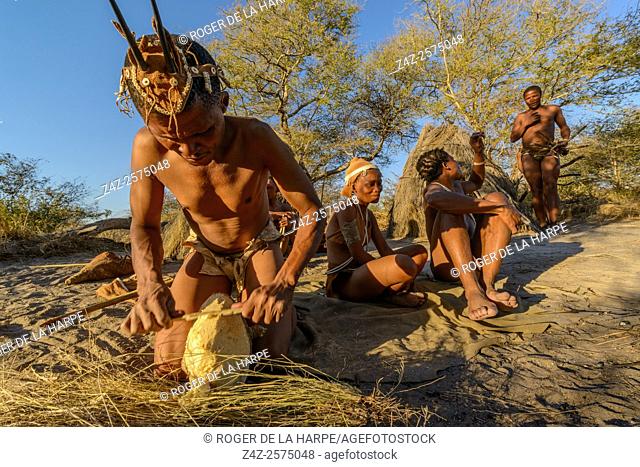 San or Bushman man scraping flesh off a bulb that will be used as a sourse of liquid for drinking and washing. Haina Kalahari Lodge. Botswana