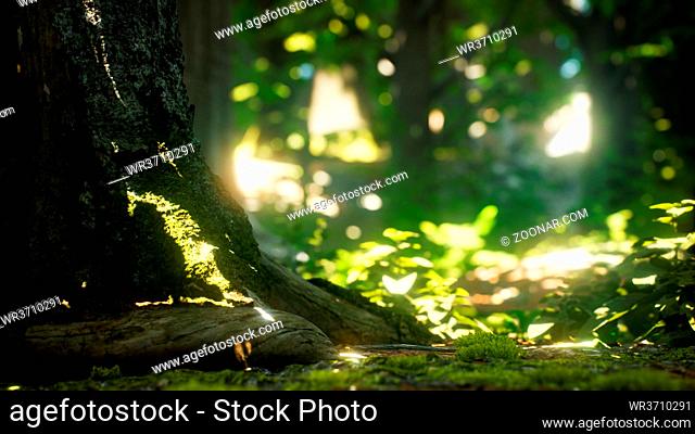 Sunlight rays pour through leaves in a rainforest