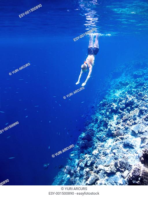 Underwater view of young woman in swimsuit snorkeling above coral head