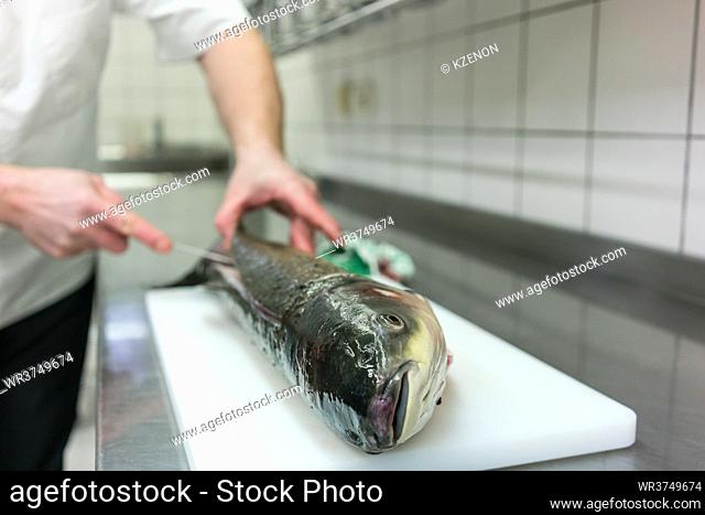 Chef in restaurant kitchen filleting carp fish