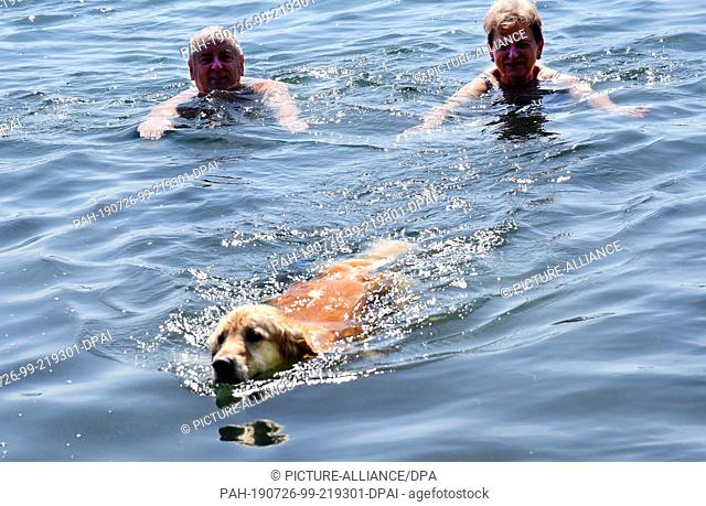 25 July 2019, Saxony, Naunhof: Two bathers with their dog ""Henri"" are looking for a cooling off in the 25 degrees warm water at the specially marked dog beach...
