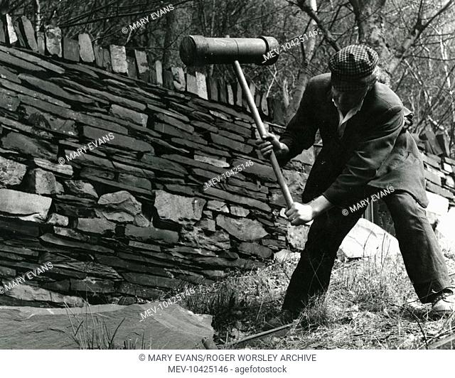 A workman at Dinorwig (or Dinorwic) Slate Quarry, near Llanberis, North Wales. He is splitting large slates with a 'Rhys' hammer before mending the walling of...