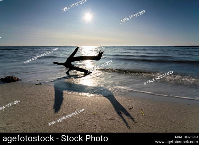 Fallen tree on Hiddensee beach with dark clouds on the beach and sun reflections