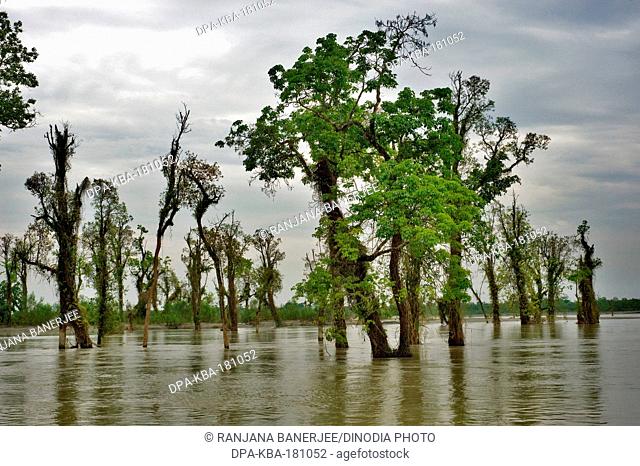 Dibru Saikhoa river Tinsukia Assam India Asia