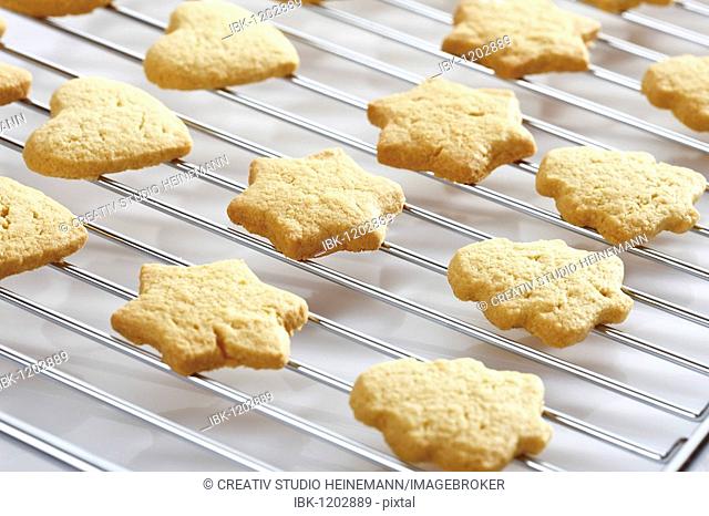 Shortcrust cookies on oven grid