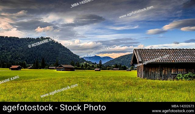 View to Wallgau with Krepelschrofen, behind it the Herzogstand, in the foreground several hay barns on green meadows, Bavaria, Germany