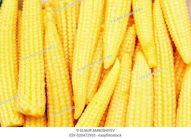 Baby corn arranged as a background