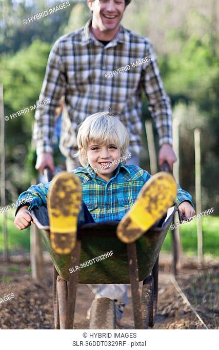 Father pushing son in wheelbarrow