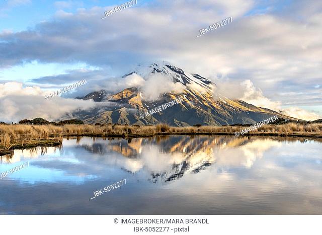 Water reflection in Pouakai Tarn, stratovolcano Mount Taranaki or Mount Egmont, Egmont National Park, Taranaki, New Zealand, Oceania