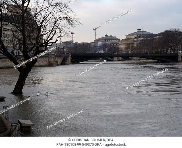 Overlooking the 'pont d'Arcole' bridge and the city centre from the 'Isle Saint Louis' island, in Paris, France, 08 January 2018