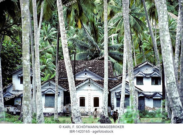 Old building from the colonial period, between coconut palms, Bentota, Sri Lanka, Ceylon, South Asia, Asia