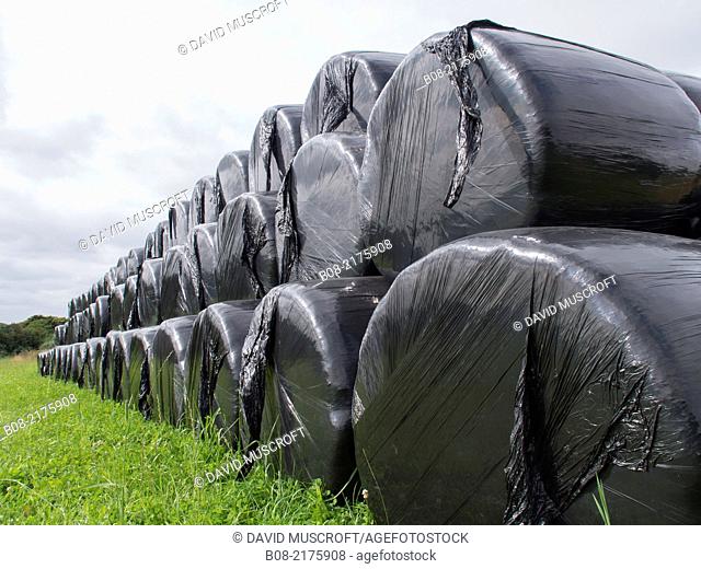 plastic packaged hay bales, derbyshire, uk
