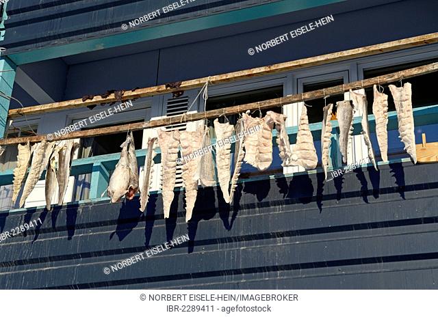 Fish drying on a balcony in Ilulissat, Greenland, Arctic North America