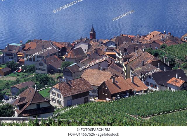 Switzerland, vineyard, Lake Geneva, Lavaux, Vaud, Picturesque village of Rivaz surrounded by vineyards along the lakeshore of Lac Leman in the Canton of Vaud