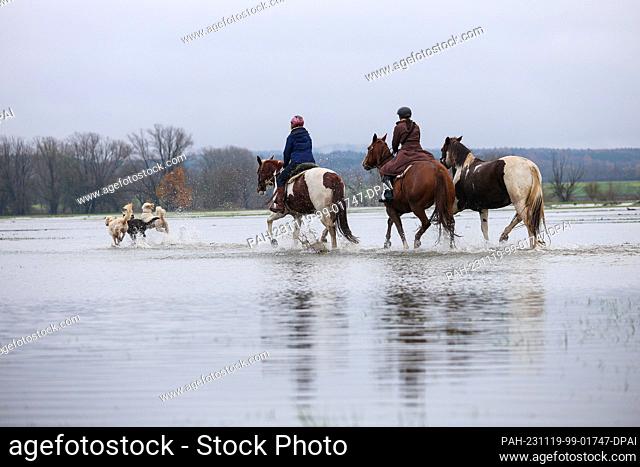 19 November 2023, Baden-Württemberg, Riedlingen: Riders are out and about with their horses and dogs on the flooded Danube cycle path