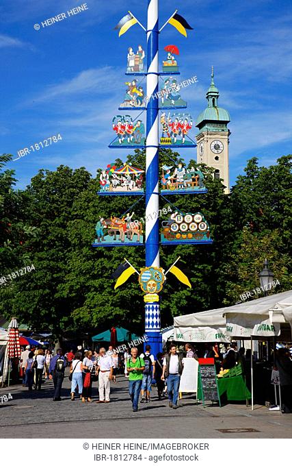 Maypole, Viktualienmarkt square and Heiliggeistkirche, Church of the Holy Ghost, Munich, Bavaria, Germany, Europe