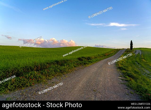 Italy, Province of Siena, Empty dirt road in Val dOrcia at dusk