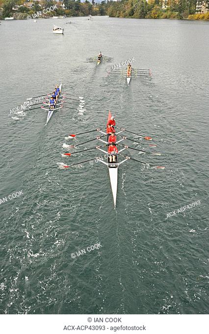 Rowing teams in the Gorge waterway, Victoria, British Columbia, Canada
