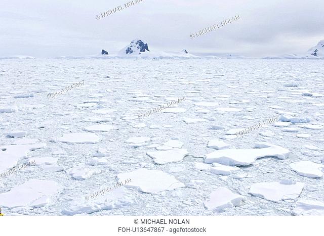 Multi-year ice floes and brash ice near the Antarctic Peninsula