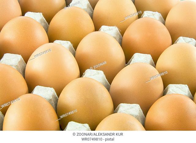 Many fresh rural eggs packed in cardboard container