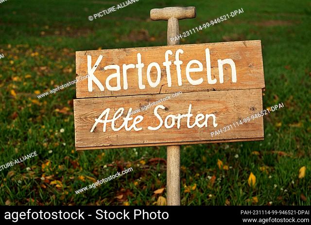 13 November 2023, Berlin: 13.11.2023, Berlin. A sign made from a digging fork stands on the site of an organic farming project and marks an area where old...