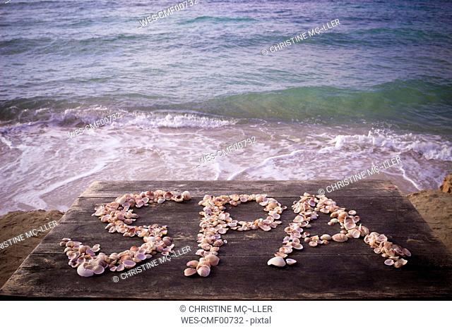 Word 'spa' written with seashells on boardwalk