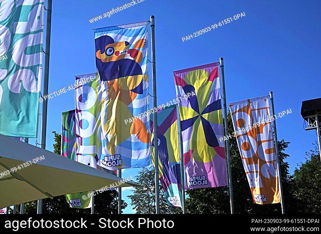 PRODUCTION - 02 September 2023, Bavaria, Munich: Flags in the wind at the ""Superbloom"" music festival in Munich. Around 50