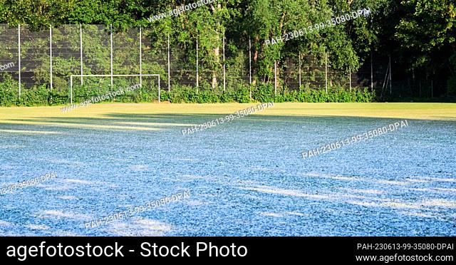 13 June 2023, Lower Saxony, Laatzen: Poplar fluff covers a soccer field in the Hanover region. The seed fibers of poplars (Populus) are flying around in masses...