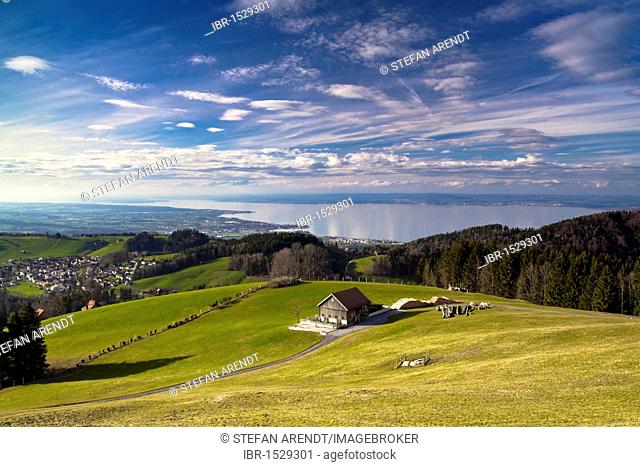 Spring landscape on Mt. Gupf with a view to Lake Constance, Rorschacherberg, Lake Constance, Switzerland, Europe
